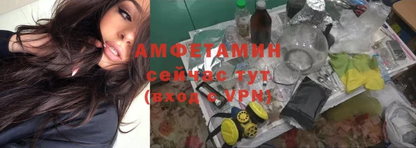 ALPHA PVP Богородицк